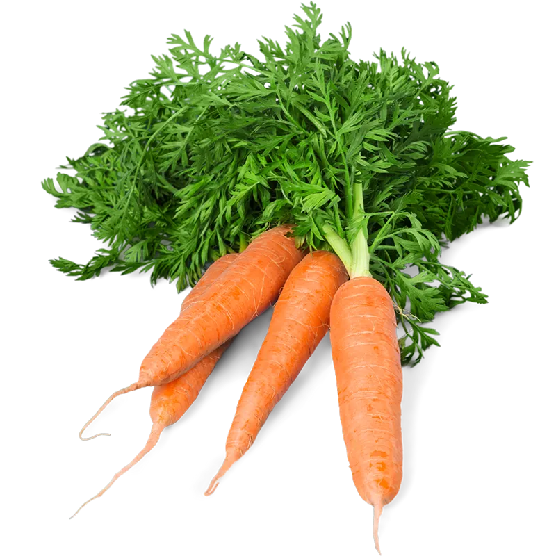 Carrots